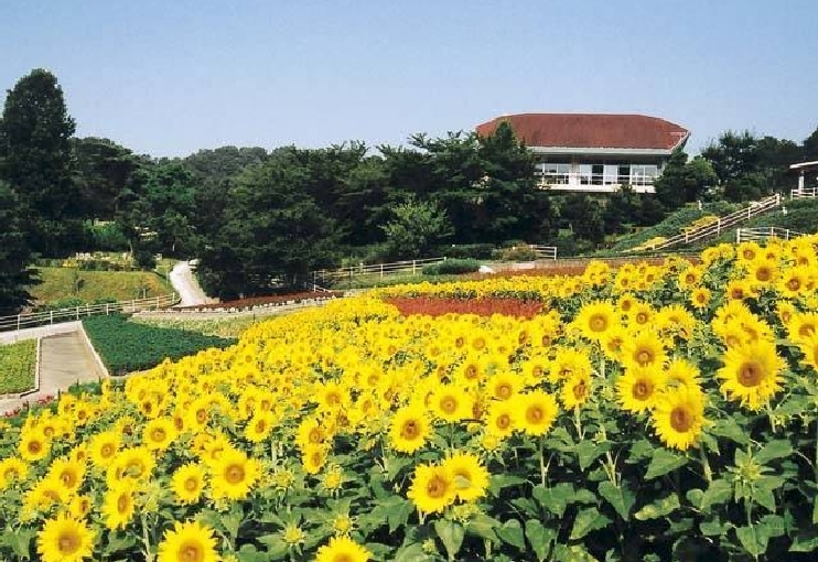 和歌山県植物公園緑花センター