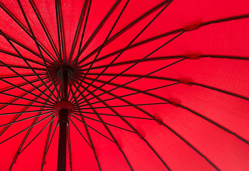 福井洋傘